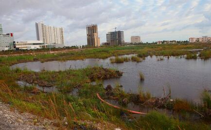 Juez concede suspensión definitiva en Tajamar