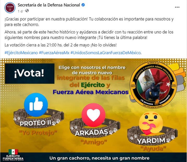 Foto: Facebook. Sedena