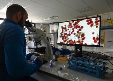 Interleucina-6: ¿Cómo funciona el nuevo tratamiento contra Covid que recomienda la OMS?