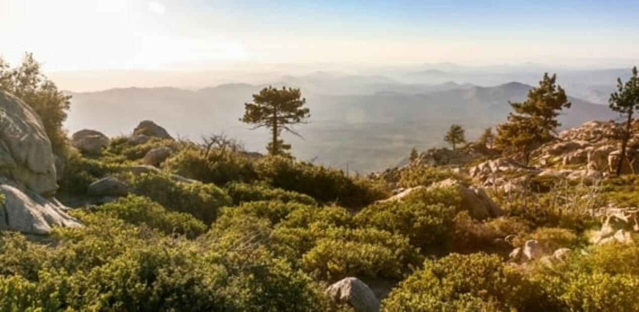 Baja California ofrece experiencia relajante e inmersiva con sus escenarios naturales