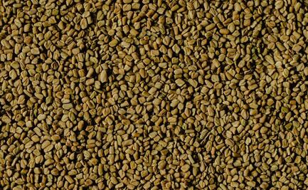 ¿Qué es el fenogreco y cuáles son sus beneficios?