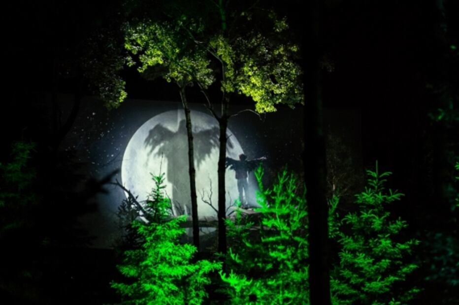 Así son los bosques encantados de Quebec