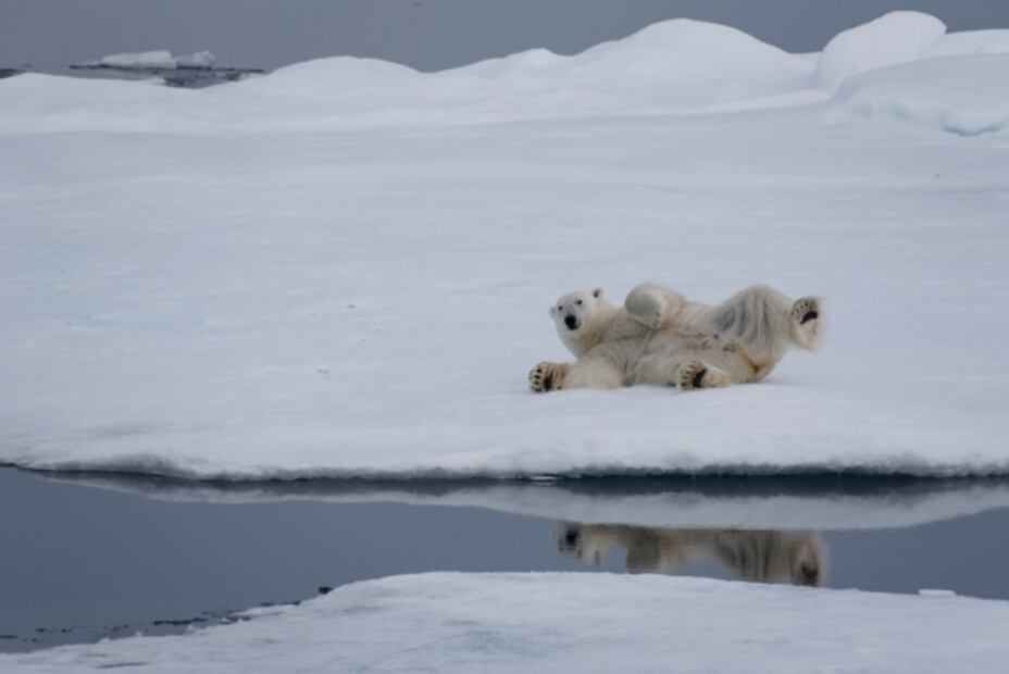El crucero que dura 167 días y te lleva a 107 destinos