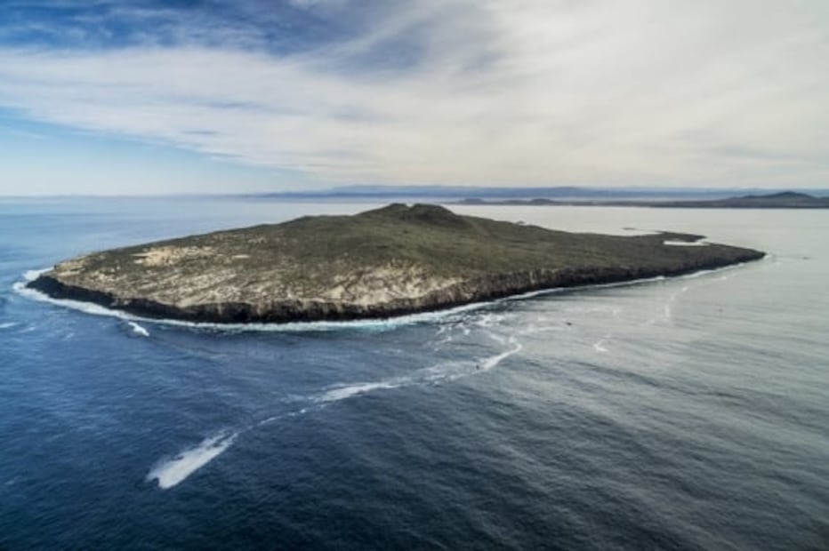 Qué ver y hacer en San Quintín, Baja California
