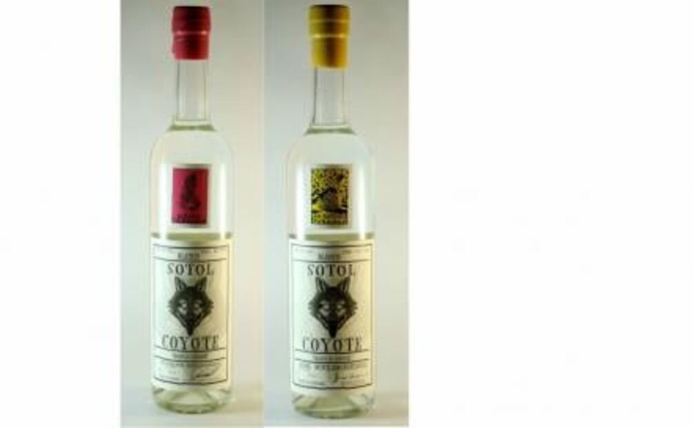 Descubre el sotol, una bebida "desértica"