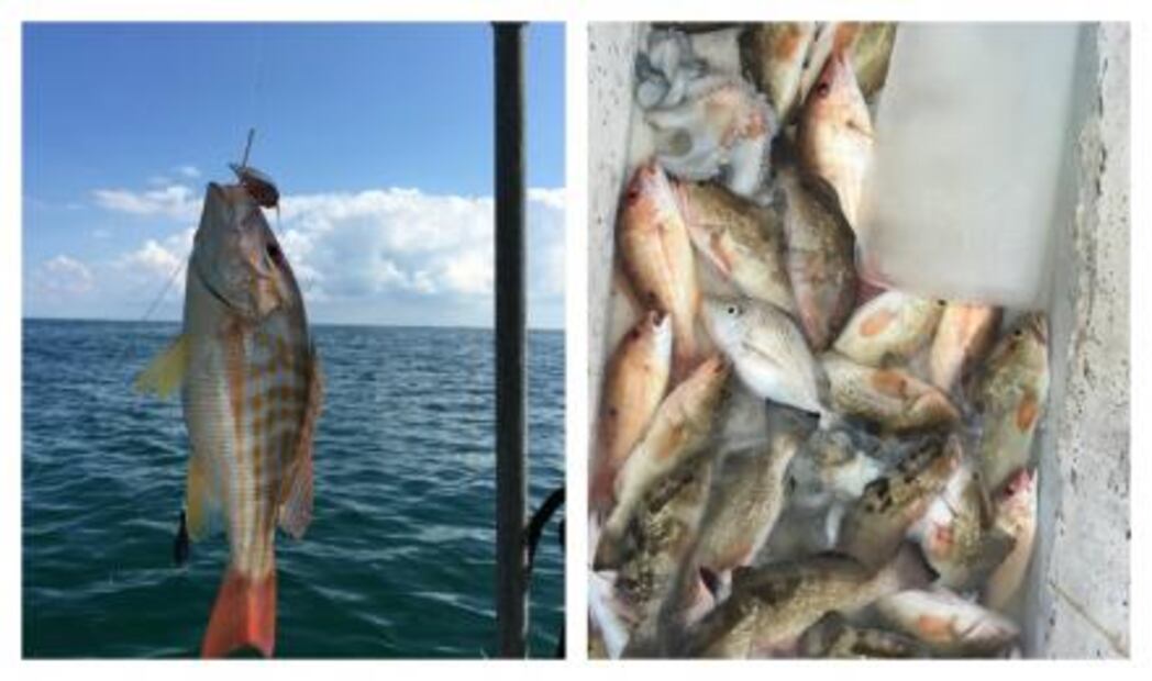 Historias de mar en Celestún