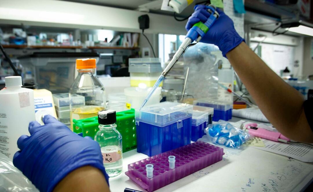 imagen ilustrativa. Foto: Archivo El Universal