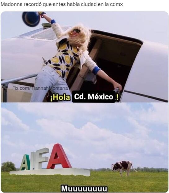 Memes de la semana. Foto: Redes Sociales