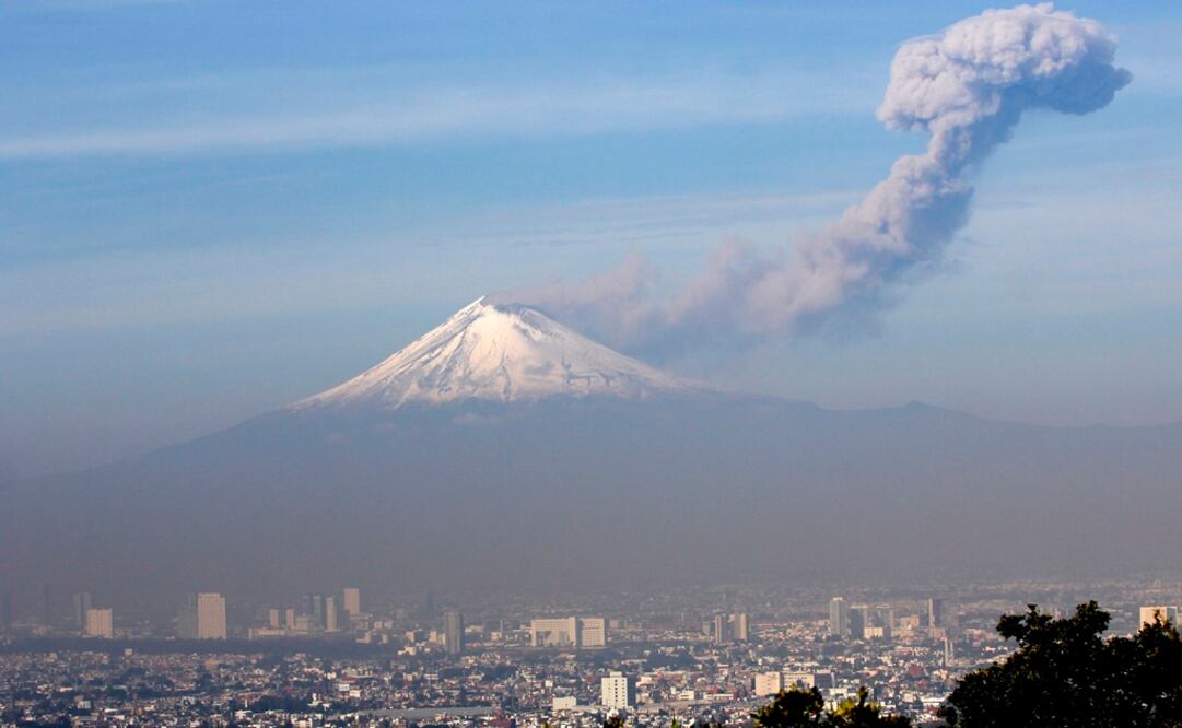 Foto: Archivo / Notimex 