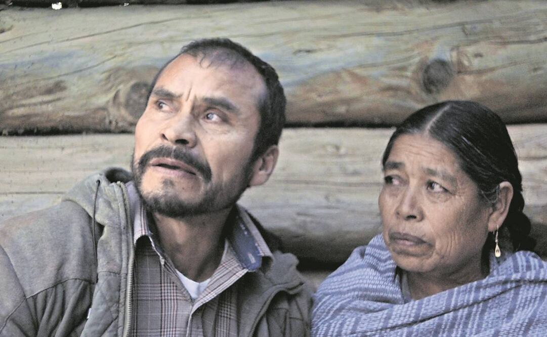 Los actores del elenco, como Noé Hernández, se sumaron a la actriz y realizadora por la confianza que sentían por ella. Foto: Especial