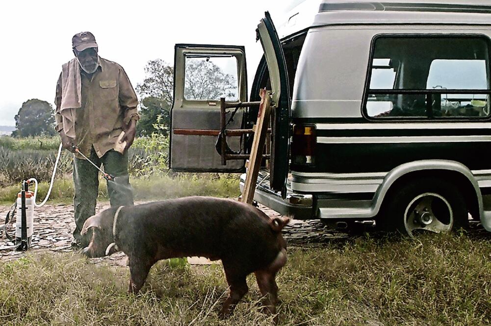 Glover dio el sí para participar en esta película cuando vio en el guión la palabra granjero, sin más característica (FOTOS: CORTESÍA VIDEOCINE)