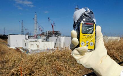 Fukuyama, la ciudad de Japón que está alerta por un "gato radiactivo"