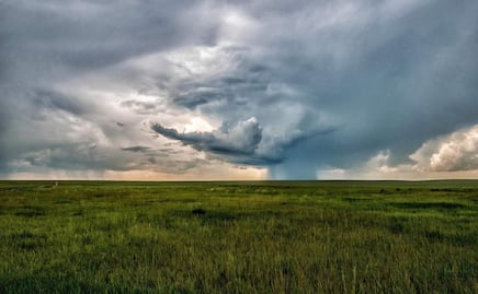 Lluvias en Chihuahua benefician a unas 400 mil hectáreas de cultivos; destaca plantío de sorgo, frijol y avena