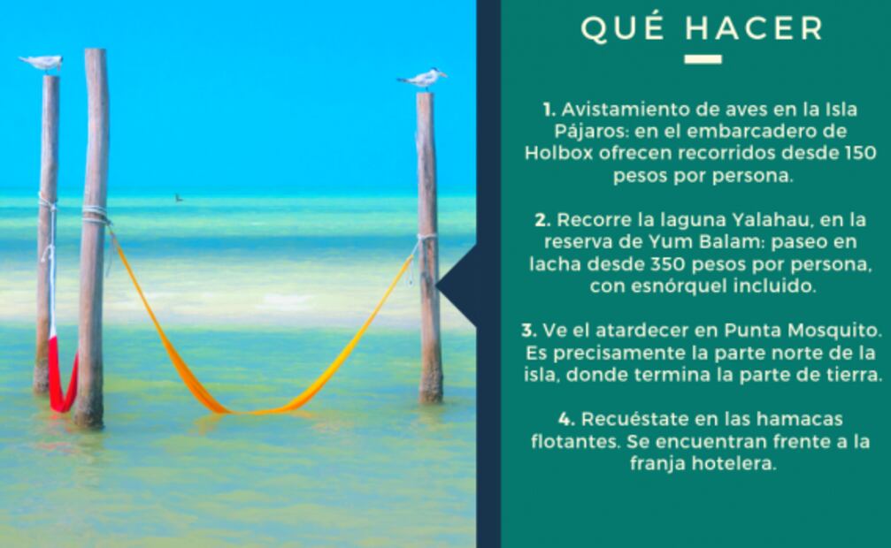 Cuánto debes ahorrar para viajar a Isla Holbox 