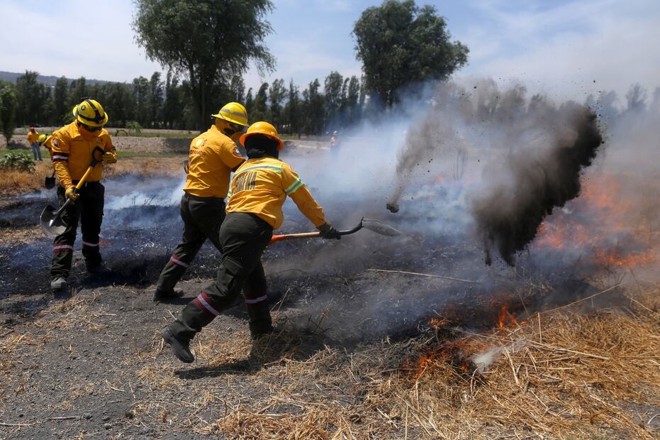 Brigadistas en acción en incendio forestal FOTO Diego Prado