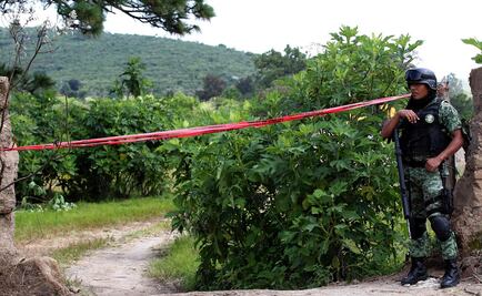 Identifican 29 cuerpos en las 119 bolsas con restos humanos localizadas en Jalisco