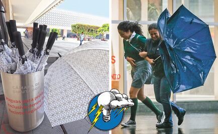 El Foco. Los 300 exclusivos paraguas “Golf” de los diputados