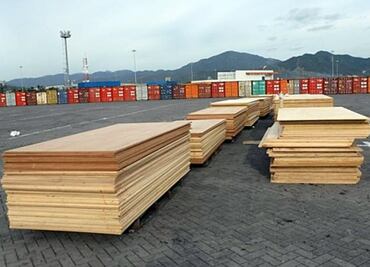 Wood mixed with cocaine seized in Mexico