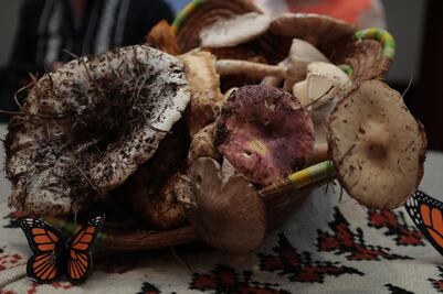 Cuándo y dónde será la Expo Feria del Hongo de Senguio 2025