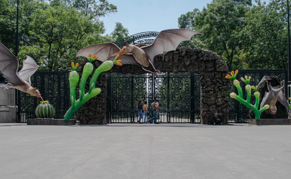 Llegan los murciélagos a las rejas de Chapultepec. Foto: Abril Angulo