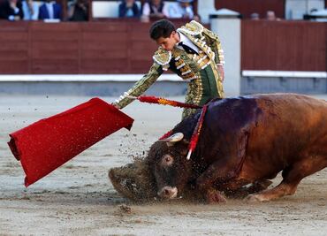 Diputada propone corridas de toros sin violencia ni muerte en la CDMX