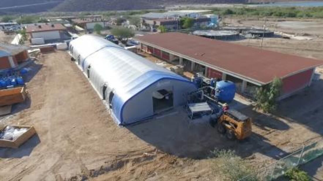 Operará en BCS primer centro de rescate de especies marinas en México