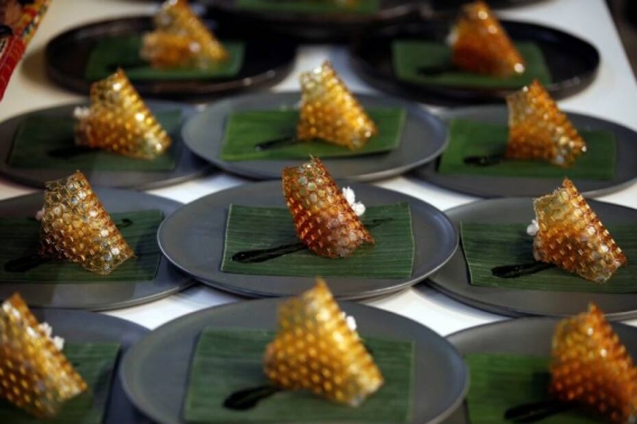 Insectos, la alternativa para dejar de comer proteína animal