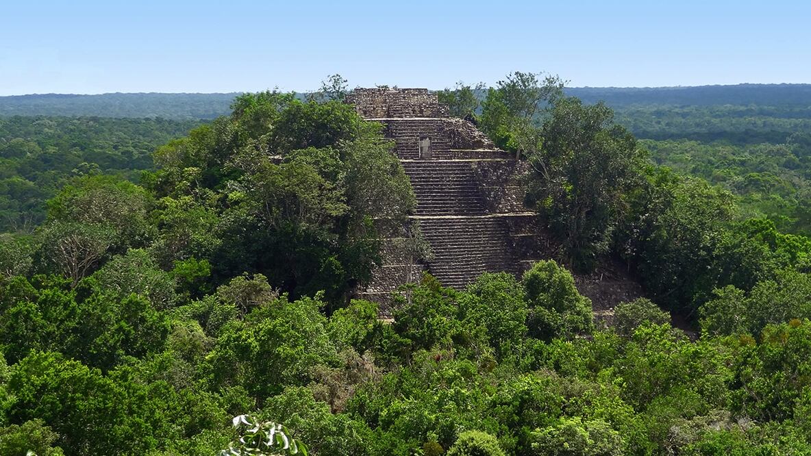 Calakmul, resguardo natural en riesgo por Tren Maya