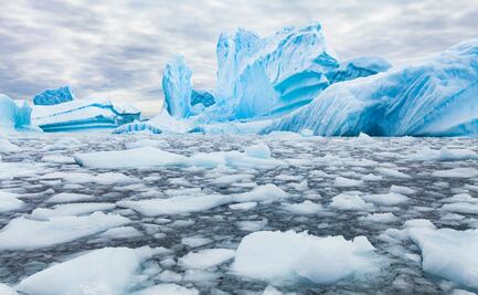 Hallan microplásticos en el ecosistema terrestre de la Antártida