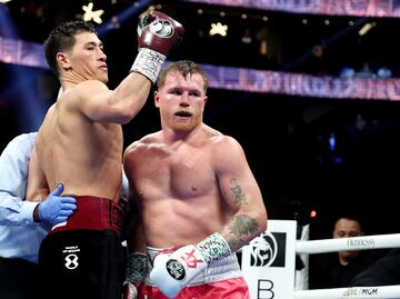 Aconsejan al Canelo Álvarez de no tener una revancha contra Dmitry Bivol