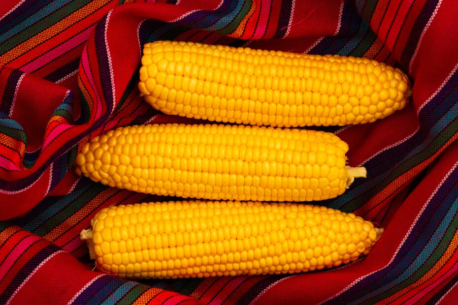 Un homenaje al maíz y sus tradiciones en la reconocida Feria del Elote. Foto: Freepik
