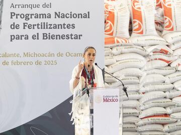 Sheinbaum: “Que nadie se atreva a violar nuestra soberanía”; afirma que EU no sería quien es sin los mexicanos que trabajan allá