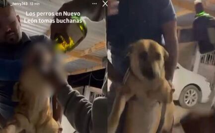 Obligan a perro a ingerir alcohol en Aramberri, Nuevo León