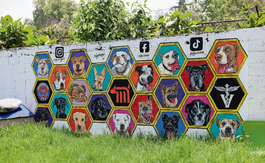 Las estaciones en las que más se han rescatado perritos en vías son Chabacano, Guerrero, La Paz, Pantitlán, Acatitla, Atlalilco y Eduardo Molina, así como en las interestaciones Consulado-Valle Gómez, Tláhuac-Tlaltenco, informó el CTC vía transparencia. Foto: Fernanda Zamora / EL UNIVERSAL