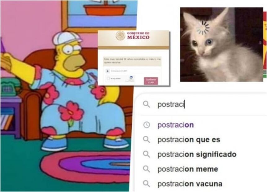 ¿Qué es la postración y por qué surgieron tantos memes?