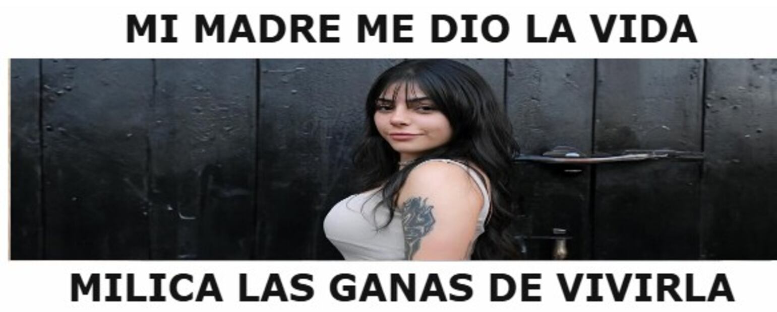 Memes del anuncio de los combates para Supernova Génesis 2026. Foto: X