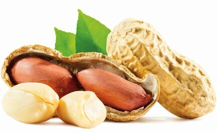 The story behind marzipan