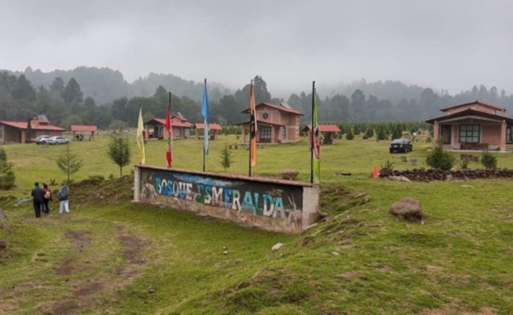 Bosque Esmeralda, el santuario de las luciérnagas que seguro no conoces