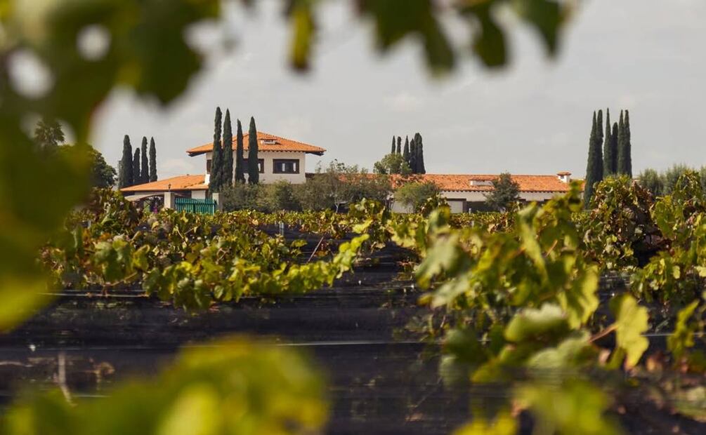 Sala Vivé, de Freixenet México, recibe certificación sustentable. Foto: Instagram