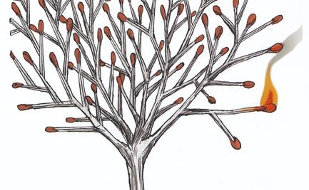 Urbanización y deforestación