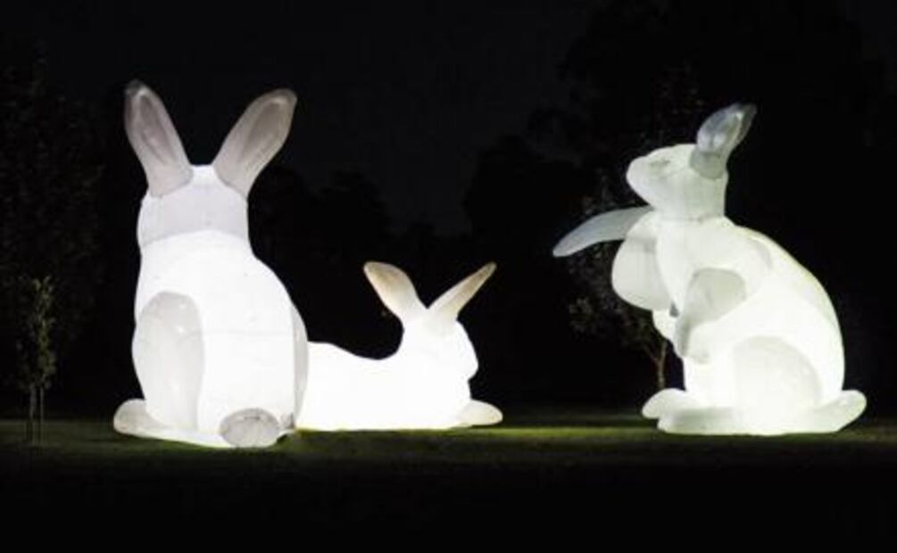 Festival de las Luces hará resplandecer la Ciudad de México