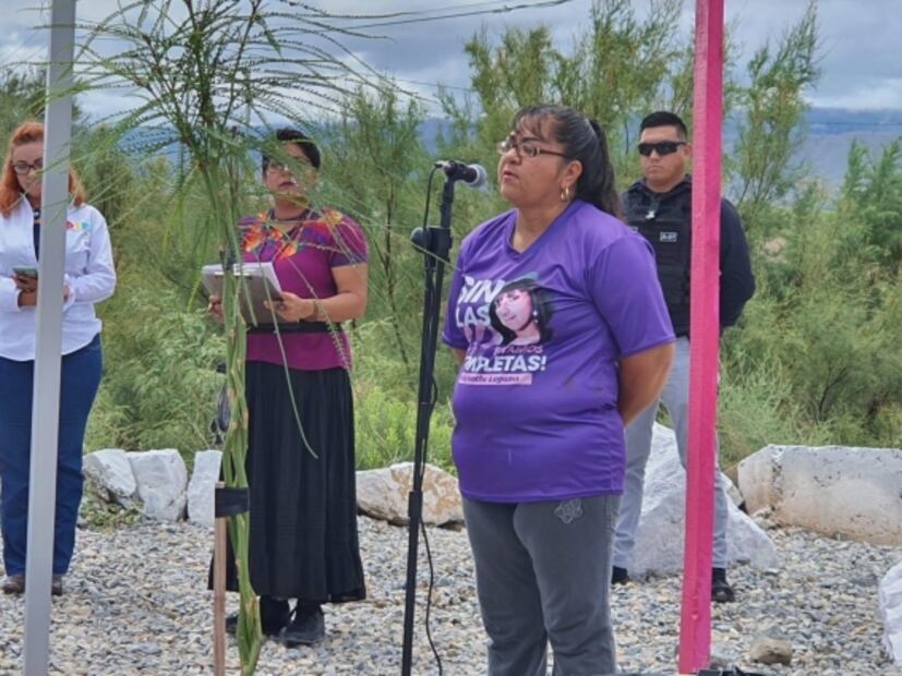 Cuando el dolor se convierte en activismo: la historia de Norma Lagunes