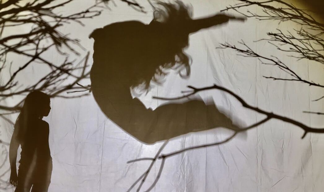 Aspectos de la obra "Trágame sueño". Foto: Lugú Danza.