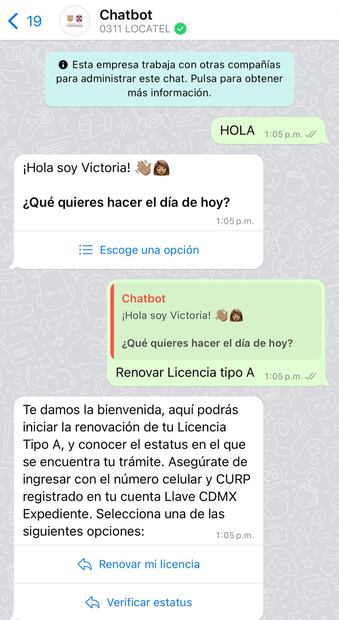 Chatbot de la CDMX. Foto: Captura de pantalla