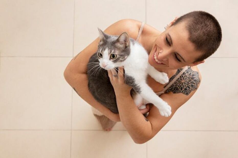 Bañar a un gato sin vacunar. Fuente: Freepik.
