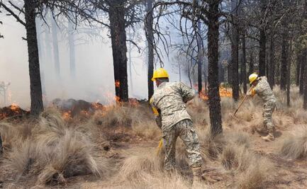 Incendio consume 826 hectáreas en selva Lacandona de Chiapas; fuego se concentra en Laguna Chavín