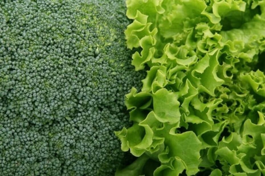 5 alimentos que debes comer con frecuencia para mantenerte saludable