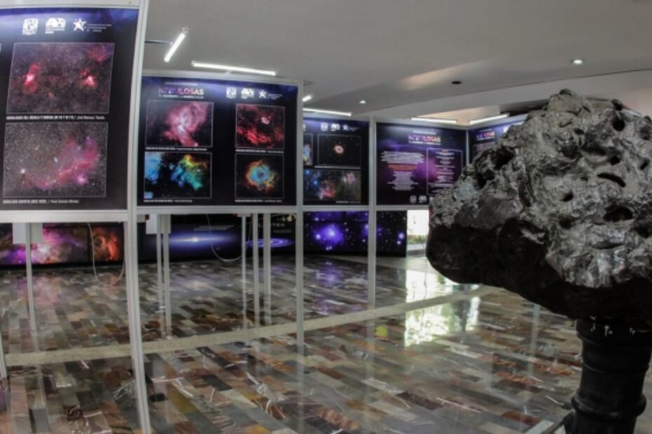 Cómo y cuándo presenciar la Noche de las estrellas 2020