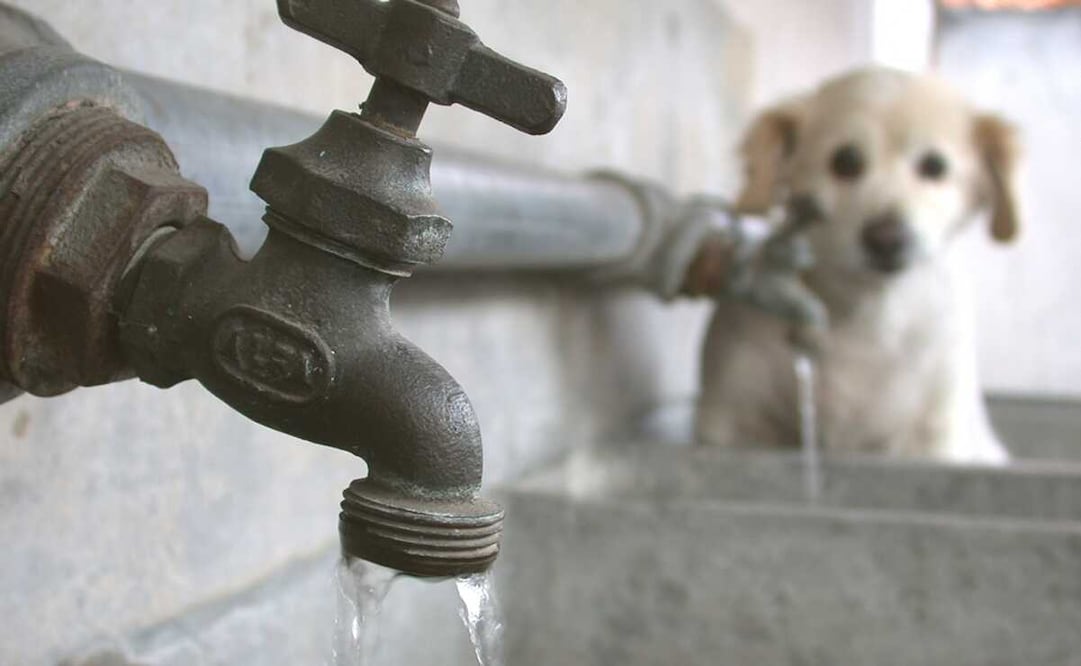 Foto: Archivo / El Universal