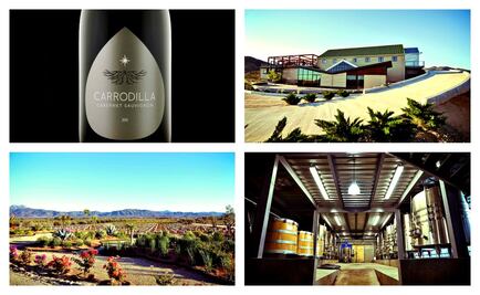 El vino mexicano también es sustentable